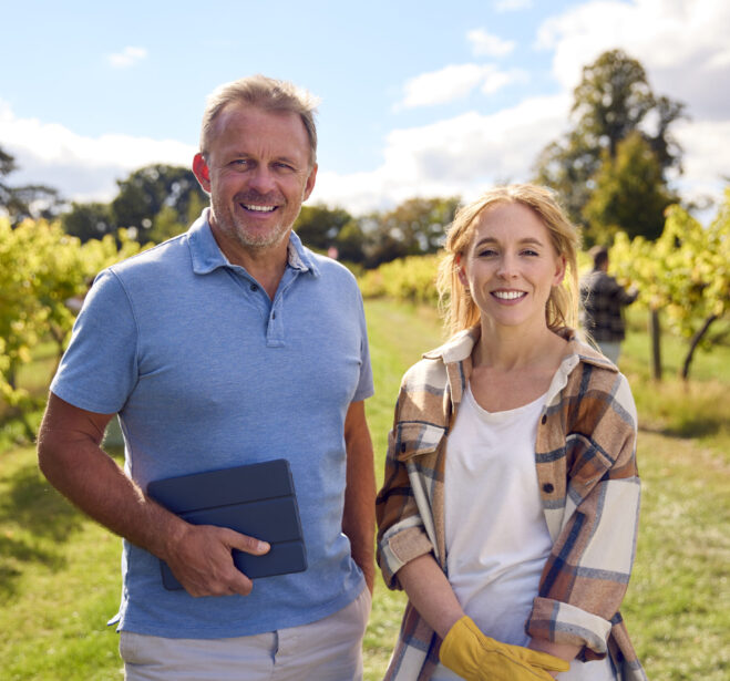 Portrait Of Male And Female Workers With Digital Tablet Harvesting Grapes In Vineyard For Wine
